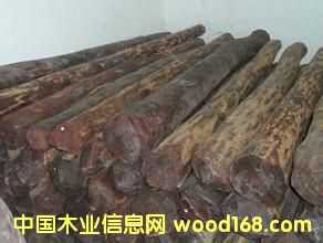 �����Ჴ��С�~��̴ԭľ