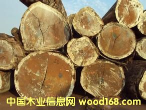 ��������˹ԭľ