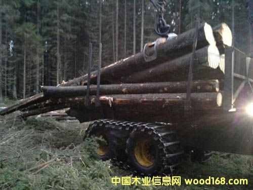 ��ľ��Ԕ��(x��)��B