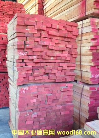 歐洲櫸木的詳細(xì)介紹