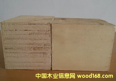 ����ľ�бP���z�ϵ��z�ϰ����Ӱ��_�Չ|�K�ǶՉ|�_��