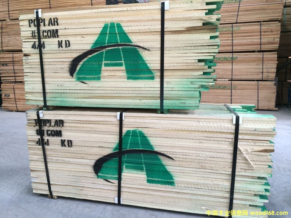 黃楊木的詳細(xì)介紹