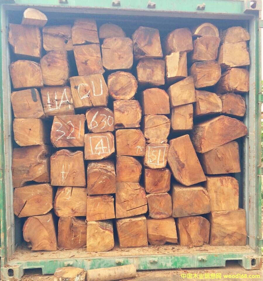 һ�ֹ���(y��ng)���ށ����棨�����̴����Ԕ����B