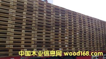 ���֚W��(bi��o)�бP��Ԕ��(x��)��B