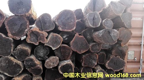 ������֦�������Kľ����̴ţ��ľ