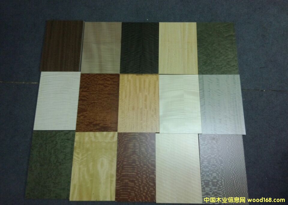 ȾɫľƤ��Ԕ��(x��)��B