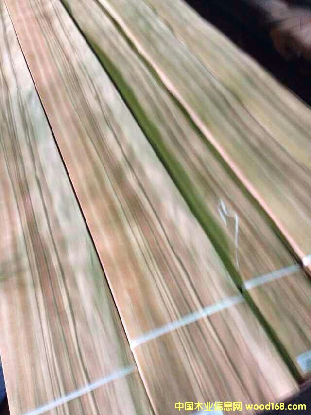 蘋果木的詳細(xì)介紹