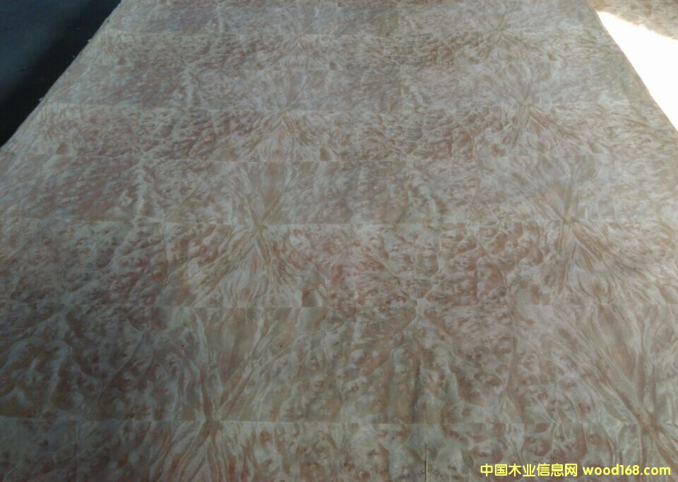 ɽ�������ţƤ����Ԕ��(x��)��B