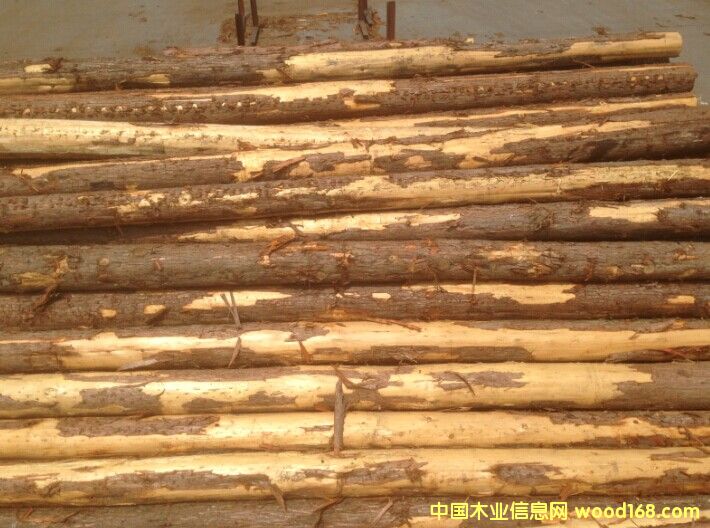 柳杉原木的詳細(xì)介紹