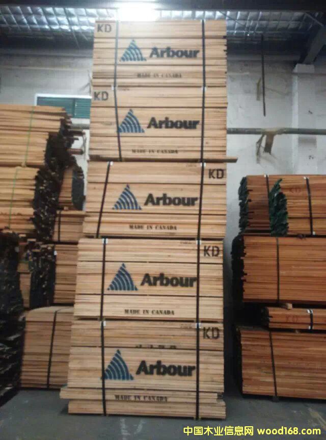 紅橡的詳細(xì)介紹