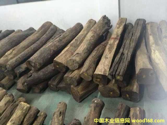 �ϓ��t��֦���ϵ�Ԕ��(x��)��B