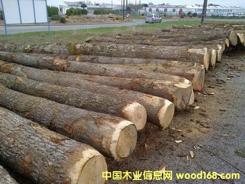 �W�ް���ԭľ��Ԕ��(x��)��B