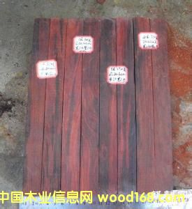 ���CС�~��̴ľ�� ������