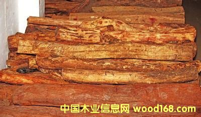 �S����PͲ�����Ѽ���