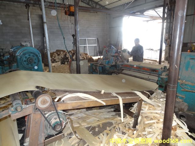 ��ľ�ذ����ϵ�Ԕ��(x��)��B