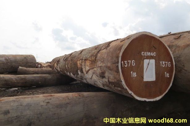 ɳ����ľ��Ԕ����B