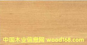 ����(y��ng)�����t�ܵ�Ԕ��(x��)��B