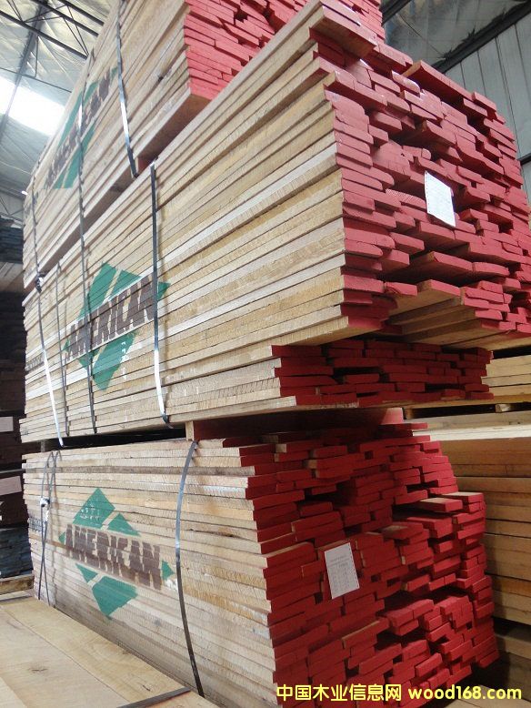 北美白橡的詳細(xì)介紹