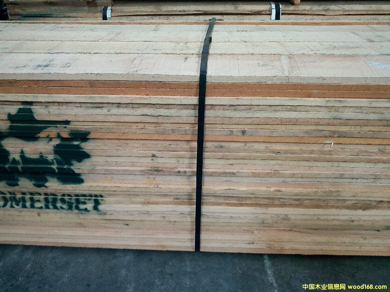 �����t��