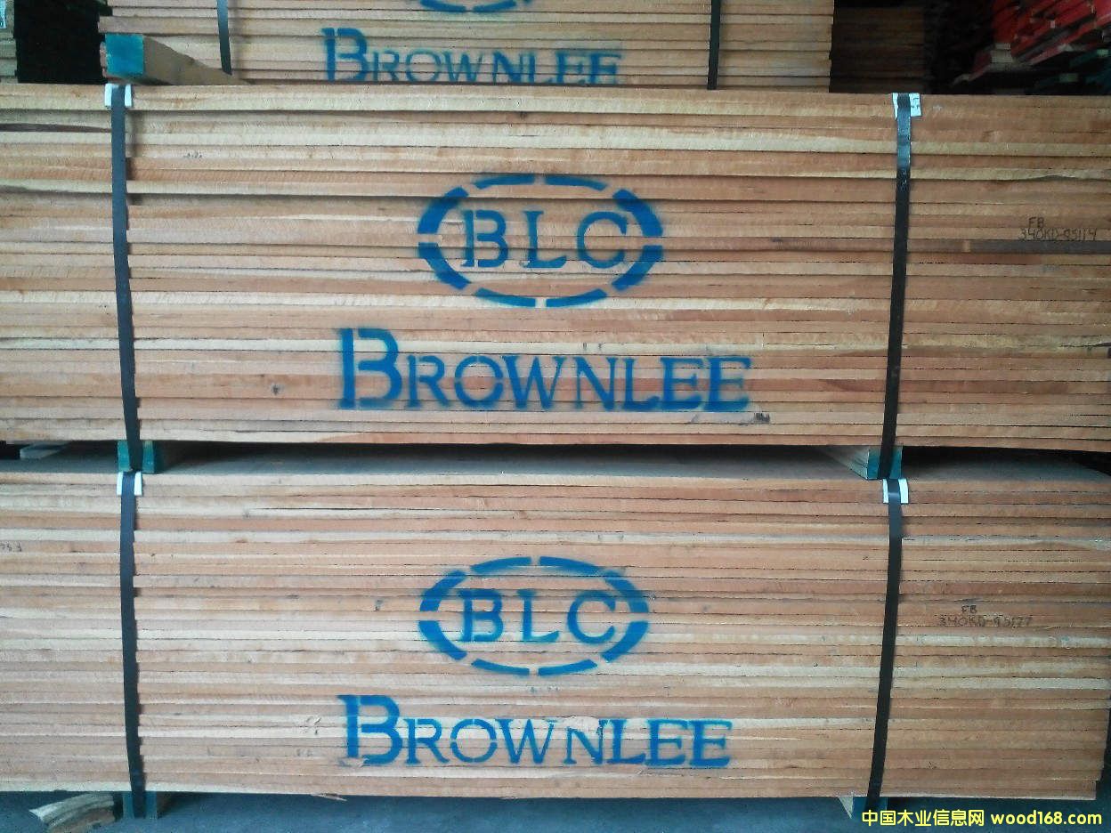 北美櫻桃的詳細(xì)介紹