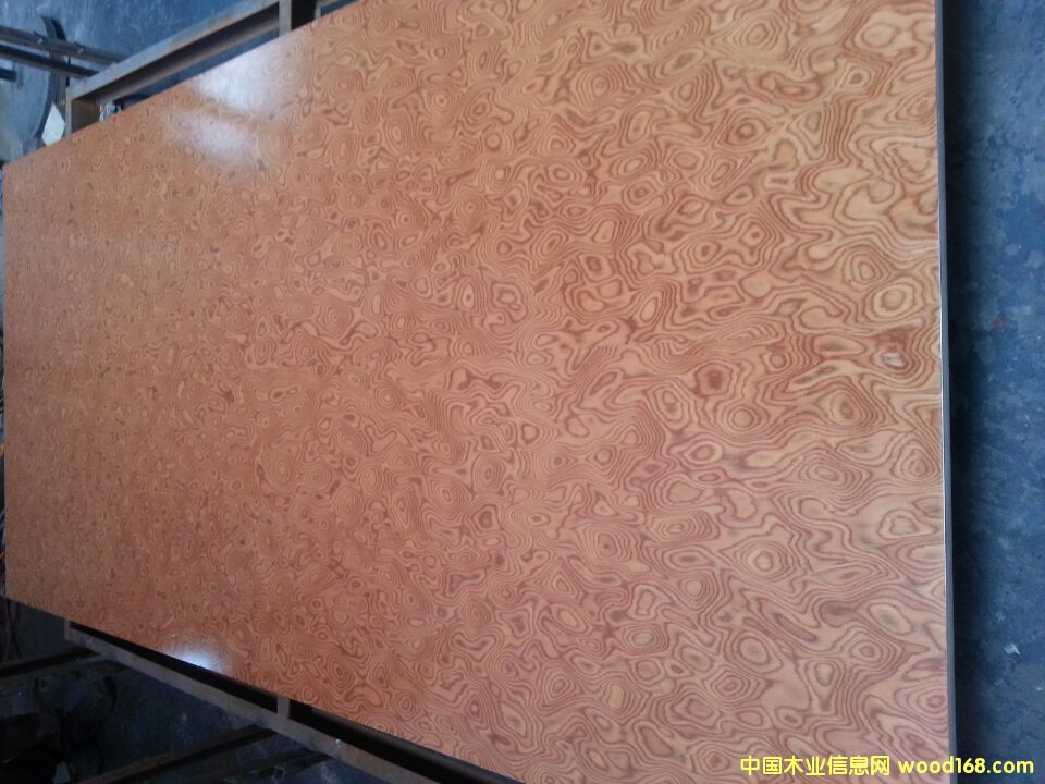 ��ɽ���A���w��I(y��)����(y��ng)�ߙn�Ҿ߰�ĵ�Ԕ��(x��)��B