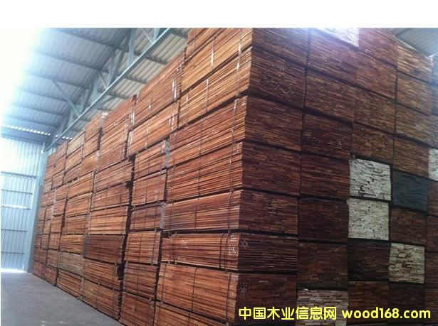 �����tľ��Ԕ��(x��)��B