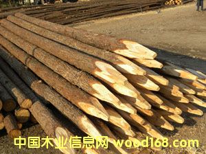 ɼľ�������阶���ӵ�����Ԕ��(x��)��B