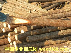 �o(h��)�̘����@��֧�ΗU��Ԕ��(x��)��B