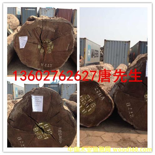 ������ľ����Ԕ����B