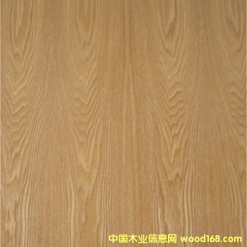 水曲柳的詳細(xì)介紹