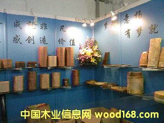 �Ҿ�չ��Ԕ��(x��)��B