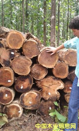 ������ľԭľ