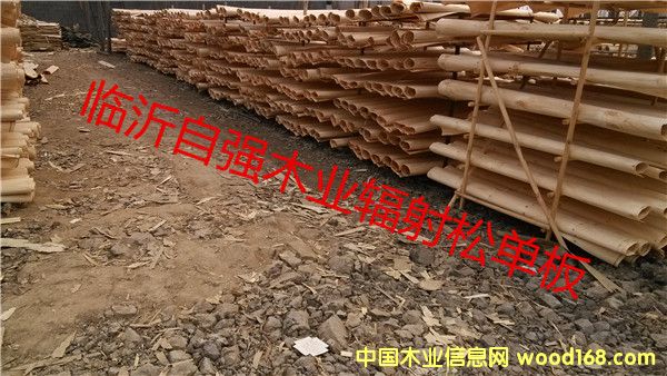 ݗ�������