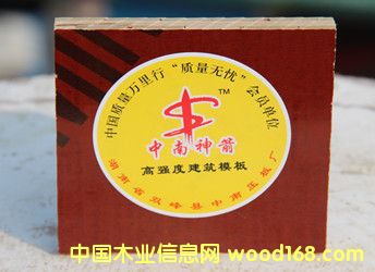 �����N���] �S�ҹ�؛����ĥ�����������z�塾�������������