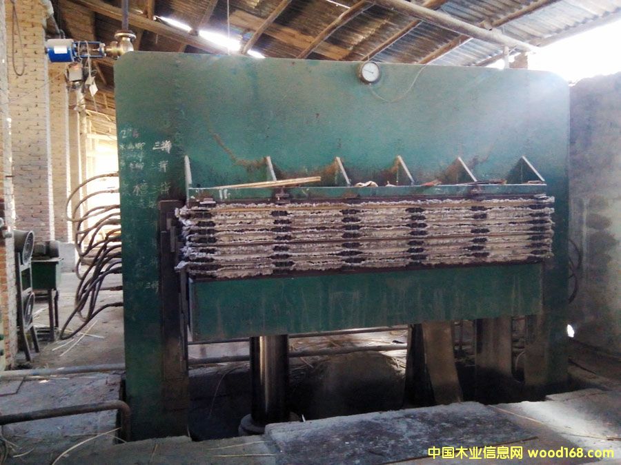 8���N�扺�C(j��)