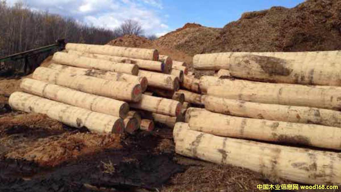 ��Ϟԭľ��Ԕ����B