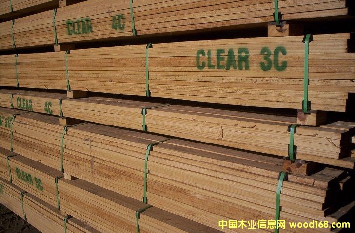 ��������ľ