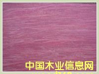 ��������ľ