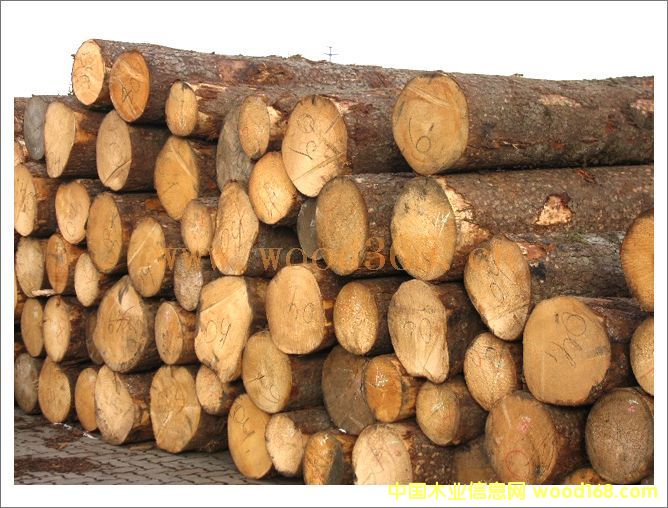 ɽ�|����ԭľ-�������_(d��)ľ�I(y��)