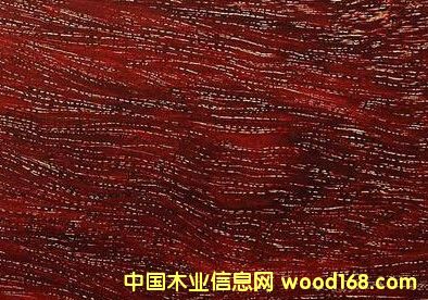 金星并不是小葉紫檀獨(dú)有的標(biāo)準(zhǔn)