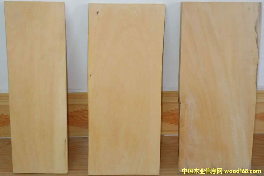 木材圖譜知識(shí):香榧木(紅豆杉科)