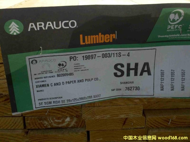 ����ľ����ARAUCO����ݗ���ɰ��