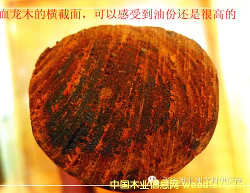 Ѫ��ľ�ļtɫԽ�͸���Խ��