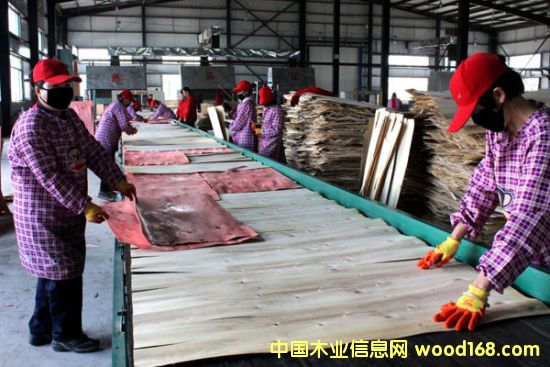 �����������P��ľ�I(y��)����Ͷ�a(ch��n)