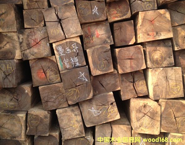 ī�������֦�Ĵ��Ј�(ch��ng)��(j��ng)��(zh��ng)��(y��u)��(sh��)͹�@�l(f��)չ?ji��)��?><br>
                      <font size=3><b>ī�������֦�Ĵ��Ј�(ch��ng)</b></font></a></div>
                  </td>
                </tr>
                 
              </table>
              
            </td>
          </tr>
          </tbody> 
        </table>
        <table border=0 cellspacing=0 cellpadding=0 width=