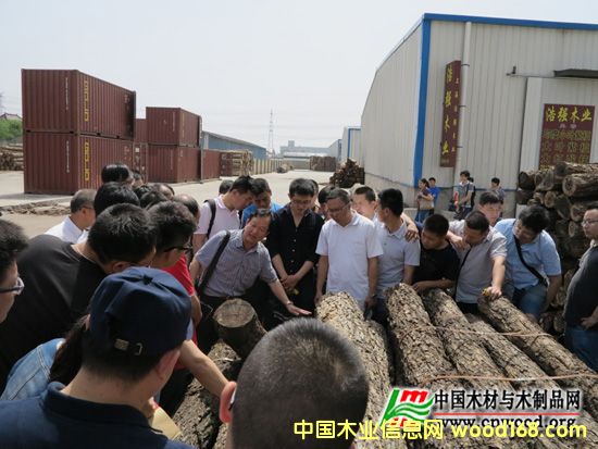 ȫ��ľ�ęz򞎟(����)�����I(y��)�Y����Ӗ�����Ϻ��e�k