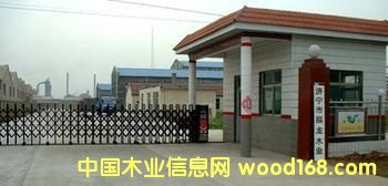 ɽ�|��(j��)������ľ�I(y��)