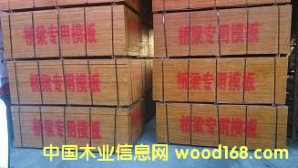 [��] ����������˘�����15mm