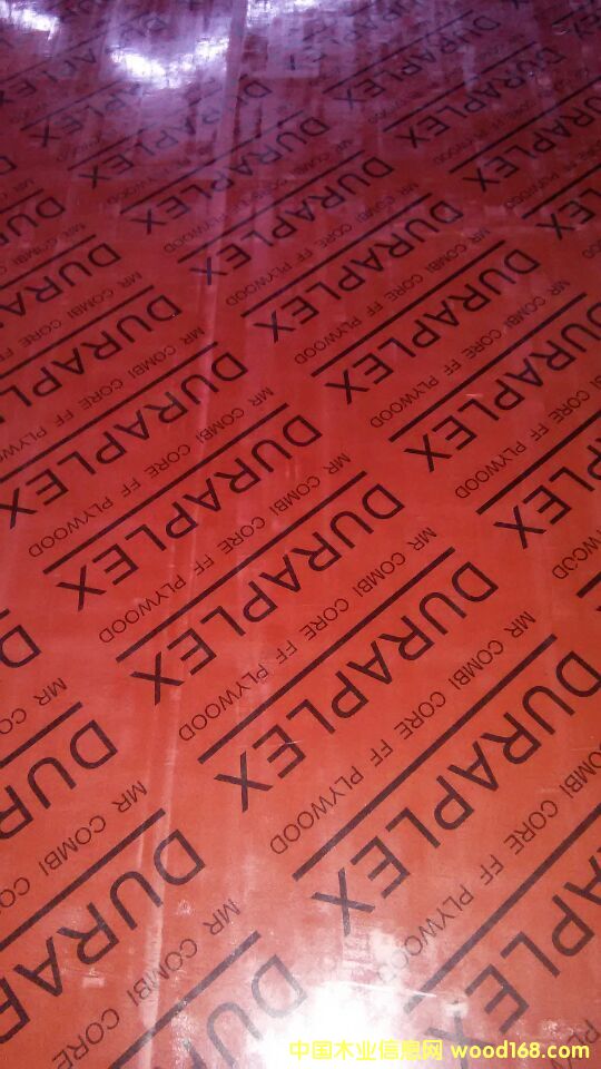 [��] 12mm��������̓r(ji��)�����l(f��)���S�r(ji��)�������