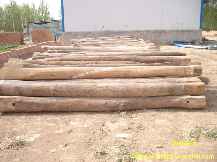 ��ľ����Ԕ����B